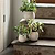 Winkleigh Pot 12cm White