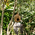 Brading Seagrass Bird House Natural