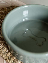 Laverstoke Dog Bowl Rosemary