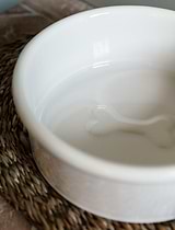 Laverstoke Dog Bowl White