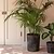 Portesham Straight Sided Pot 30.5cm Antique Brown