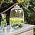 Sunshill Drink Dispenser Clear Glass