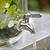 Sunshill Drink Dispenser Clear Glass