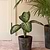 Radstock Pot 23cm Antique Brown