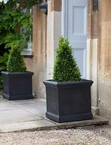 Boxgrove Planter 44cm Carbon