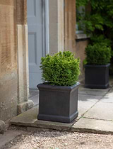 Boxgrove Planter 35cm Carbon