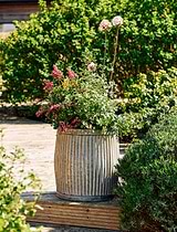 Vence Tall Planter 38cm