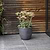 Rodborough Planter 28cm Carbon