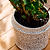 Eva Planter Stoneware Oatmeal H15x21cm Set of 2
