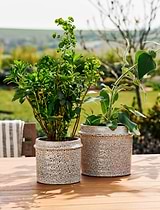 Eva Planter Stoneware Oatmeal H15x21cm Set of 2