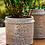 Eva Planter Stoneware Oatmeal H15x21cm Set of 2