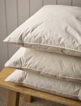 Cosy Down Cushion Inner 50x50cm Cotton Beige