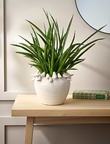 Elsa Bird Planter Stoneware Warm White