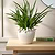 Elsa Bird Planter Stoneware Warm White