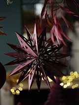 Maddox Cutout Christmas Star Berry