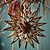 Maddox Christmas Snowflake Cinnamon