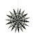 Maddox Cutout Christmas Star Rosemary