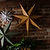 Maddox Christmas Star Large Cinnamon