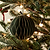 Maddox Baubles Set of 3 Rosemary