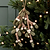 Southwold Mistletoe Multi