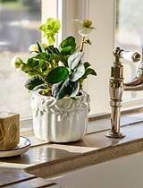 Cetara Pot 13cm White