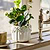 Cetara Pot 13cm White