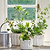 Cetara Pot 13cm White