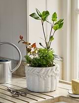 Cetara Pot 18cm White