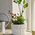 Cetara Pot 18cm White