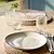 Shipston Dinner Plate Ink