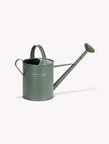 Classic Watering Can 10L Thistle Green