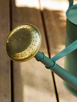 Classic Watering Can 10L Thistle Green