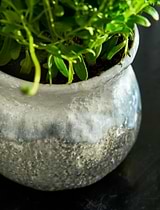 Marlston Pot 15cm Grey