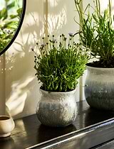Marlston Pot 15cm Grey