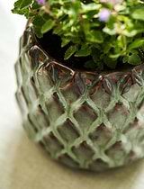 Wilcot Pot Small 12cm Green