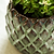 Wilcot Pot Small 12cm Green