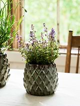 Wilcot Pot Small 12cm Green