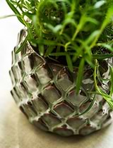 Wilcot Pot Large 15cm Green
