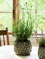 Wilcot Pot Large 15cm Green
