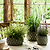 Wilcot Pot Large 15cm Green