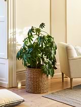 Brading Planter 40cm Natural