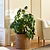 Brading Planter 40cm Natural
