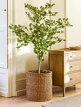 Brading Planter 48cm Natural