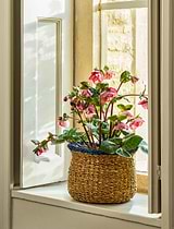 Hayward Fluted Pot Seagrass Ink