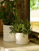 Blewbury Bobble Pot 11cm White