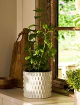 Blewbury Bobble Pot 18cm White