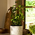 Blewbury Bobble Pot 18cm White