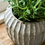 Cassington Linear Pot 14cm Grey
