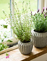 Cassington Linear Pot 14cm Grey