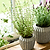 Cassington Linear Pot 14cm Grey